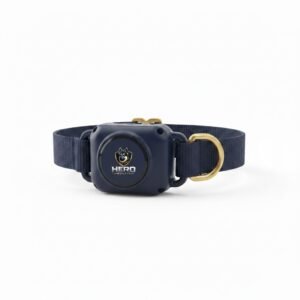 GPS Smart Collar Tracker